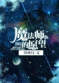 （综同人）[综]魔法师的愿望
