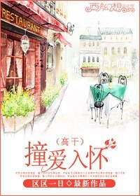 撞爱入怀(高干)