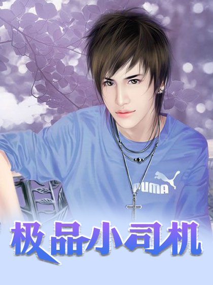 《极品小司机》