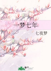 一梦七年