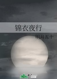锦衣夜行