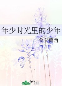 年少时光里的少年
