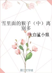 雪里面的猴子(中)离别多