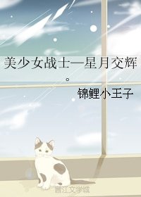(GL/美少女战士同人)美少女战士—星月交辉。